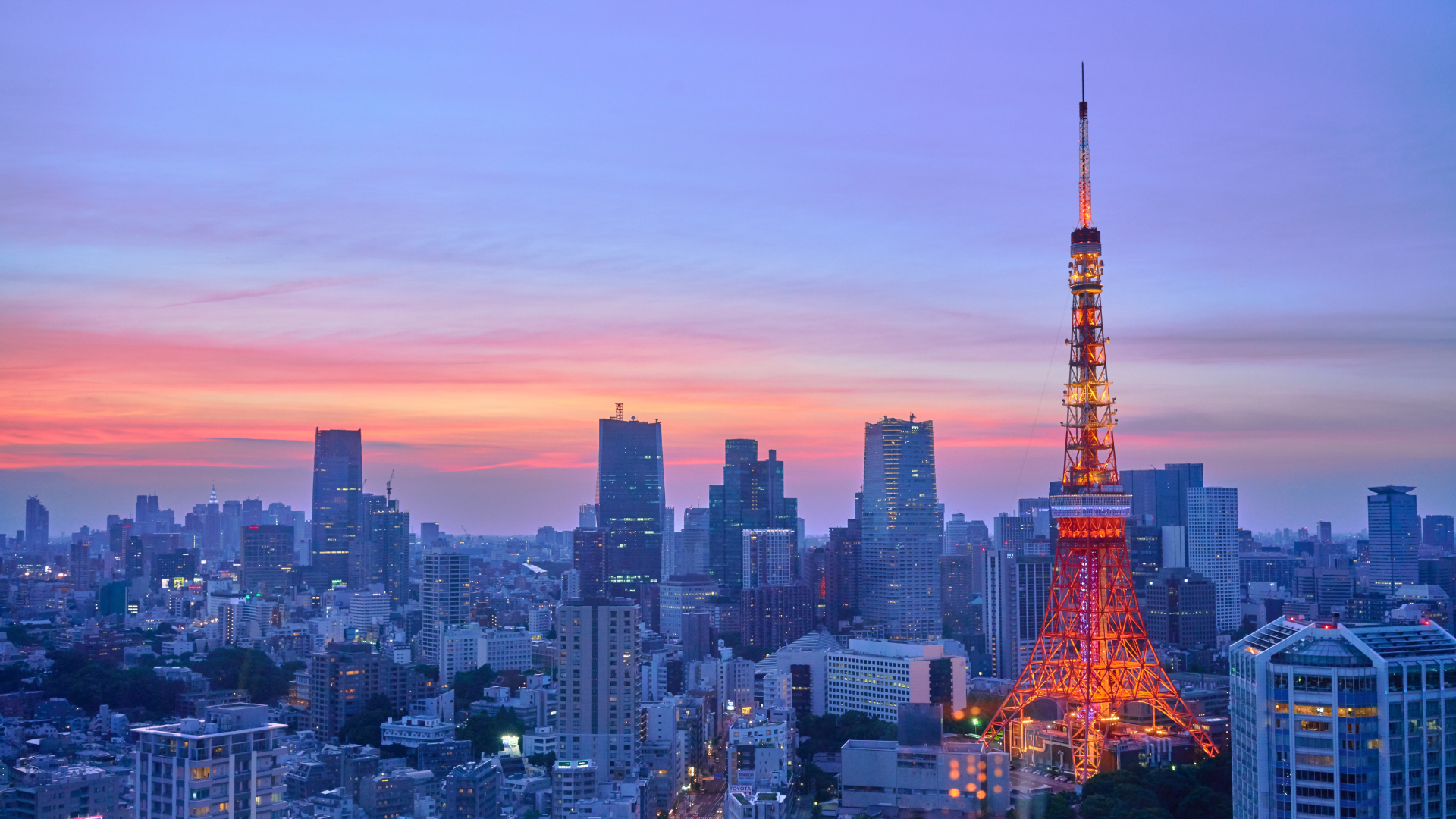 Tokyo skyline farewell
